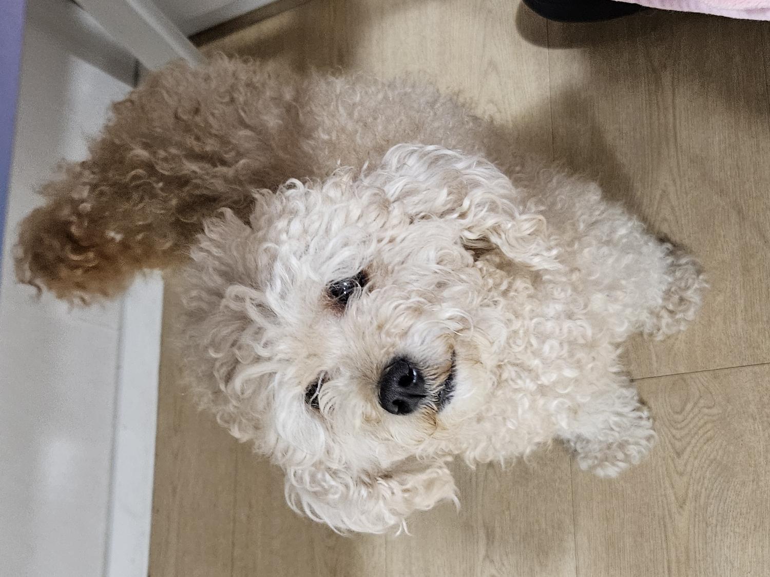 노원반려동물문화센터_411310202400018